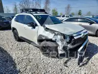 2022 Toyota RAV4 фото