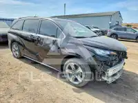 2022 Toyota SIENNA фото