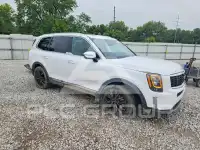 2022 KIA Telluride фото