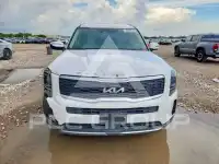 2022 KIA Telluride photo