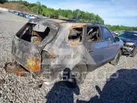 2022 KIA Telluride фото
