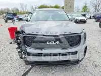 2022 KIA Telluride фото