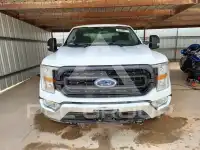 2022 Ford F-150 photo