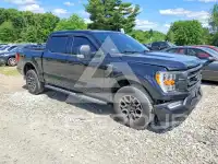 2022 Ford F-150 photo