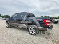 2022 Ford F-150 фото