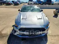 2022 Ford MUSTANG photo