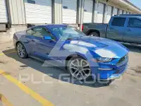 2022 Ford MUSTANG photo