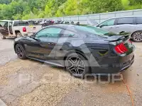 2022 Ford MUSTANG photo