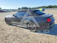 2022 Ford MUSTANG фото