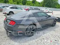 2022 Ford MUSTANG photo
