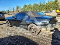 2022 Ford MUSTANG фото