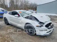 2022 Ford MUSTANG photo