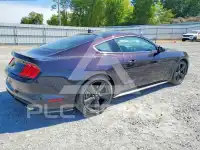 2022 Ford MUSTANG photo