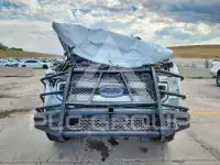 2022 Ford F-250 photo