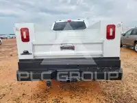 2022 Ford F-250 фото