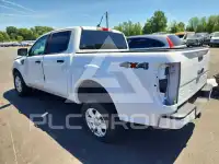 2022 Ford RANGER фото