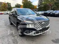 2022 Hyundai Santa Fe фото