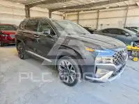 2022 Hyundai Santa Fe фото