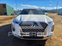 2022 Hyundai Palisade photo