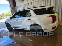 2022 Hyundai Palisade фото