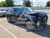 2022 Hyundai Palisade фото