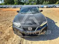 2023 Nissan MAXIMA фото