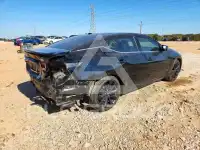 2023 Nissan MAXIMA фото