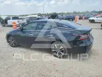 2023 Nissan MAXIMA фото