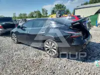 2023 Nissan MAXIMA photo