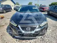 2023 Nissan MAXIMA photo