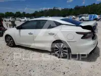 2023 Nissan MAXIMA photo