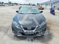 2023 Nissan MAXIMA photo