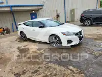 2023 Nissan MAXIMA фото