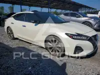 2023 Nissan MAXIMA фото