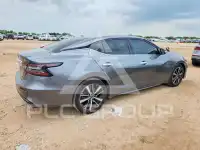 2023 Nissan MAXIMA photo