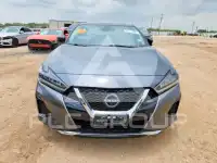 2023 Nissan MAXIMA photo