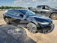 2023 Nissan MAXIMA фото