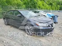 2023 Nissan MAXIMA фото