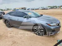 2023 Nissan MAXIMA photo