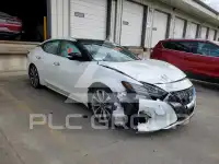 2023 Nissan MAXIMA photo