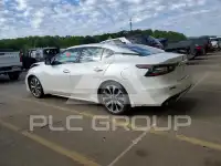 2023 Nissan MAXIMA photo