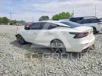 2023 Nissan MAXIMA photo