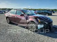 2023 Nissan ALTIMA фото