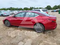 2023 Nissan ALTIMA photo