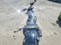 2023 Harley-Davidson  photo