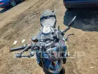 2023 Ducati Monster фото