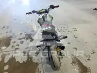 2023 Kawasaki  фото