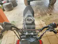 2023 Kawasaki  photo