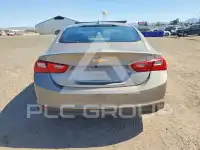 2023 Chevrolet Malibu фото