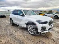 2023 BMW X5 photo